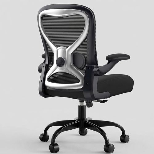 Casasio 4-Way Lumbar Mesh Chair, Black with Silver