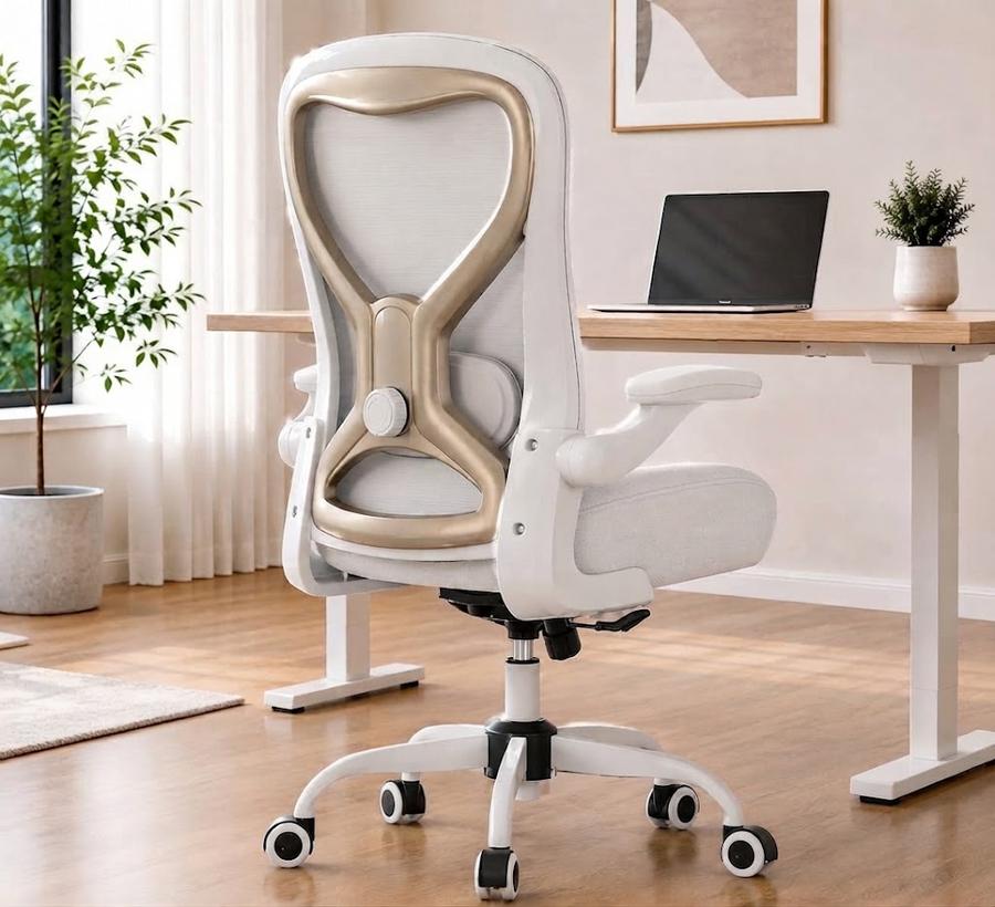 White-with-champagne chair in a bright corner